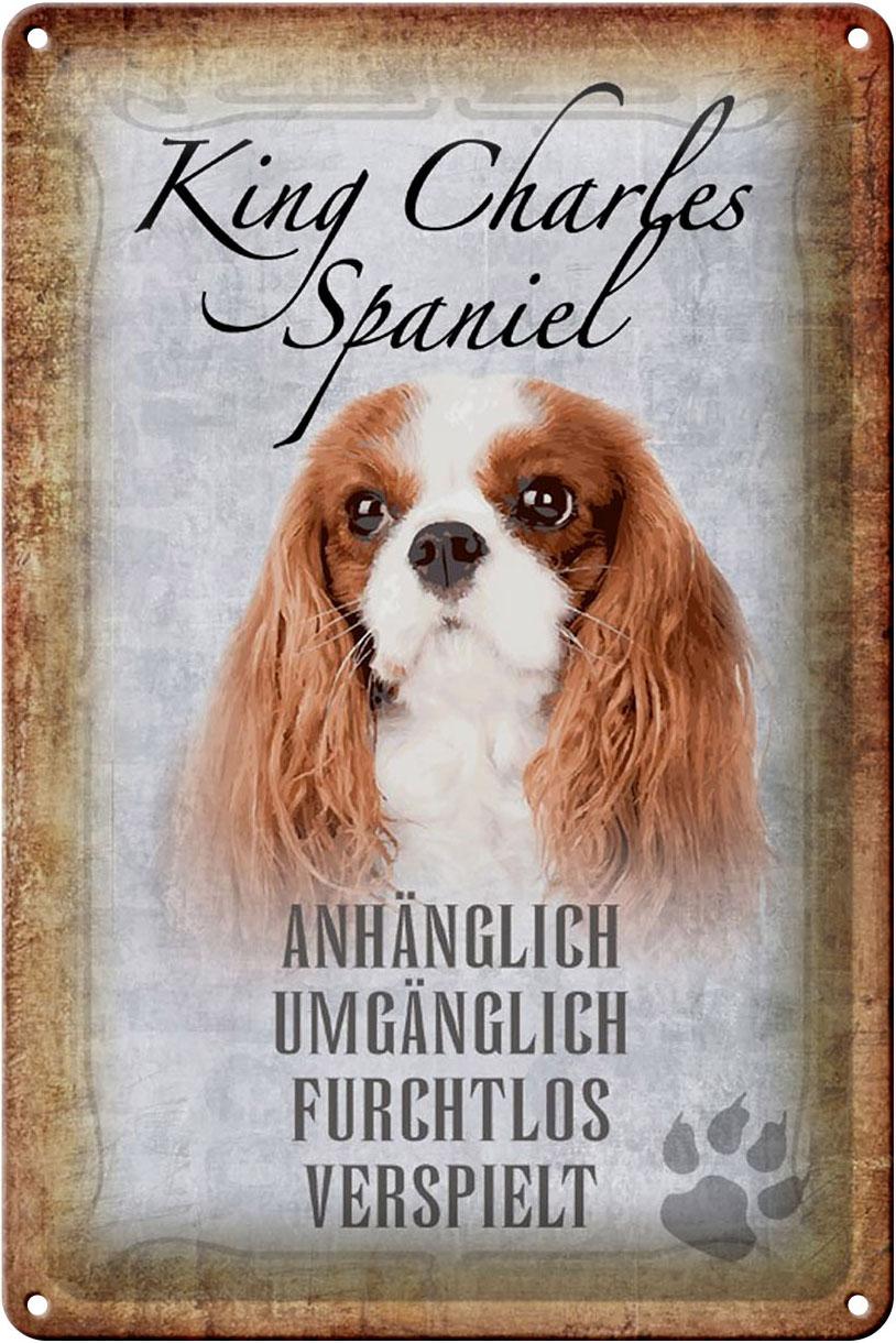 Blechschild Spruch 20x30 cm King Charles Spaniel Hund Metal Deko Schild tin sign