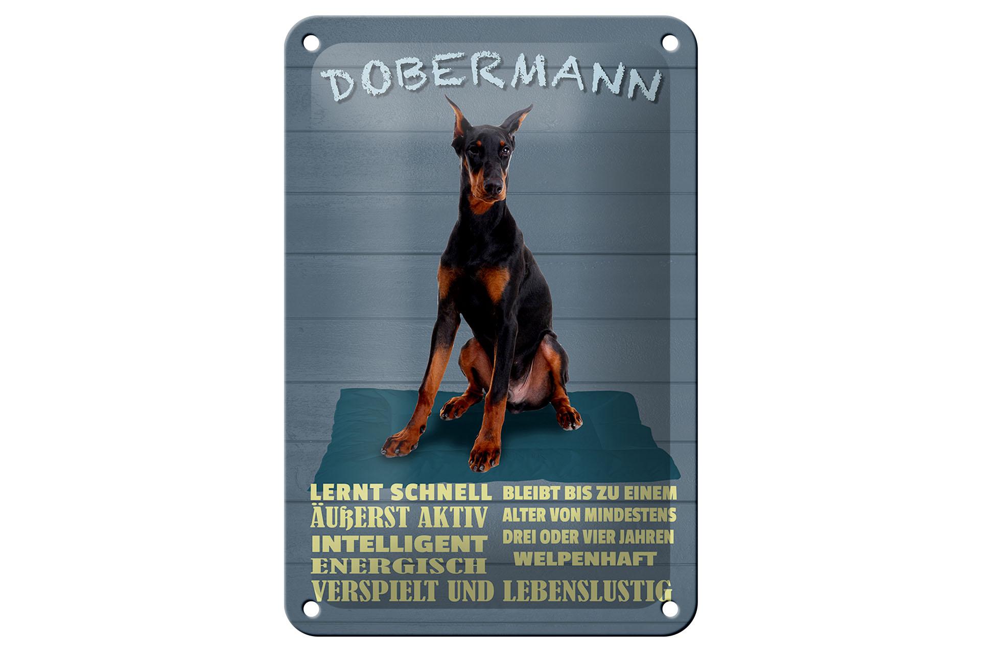 Blechschild Spruch 12x18 cm Dobermann lernt schnell Hund Deko Schild