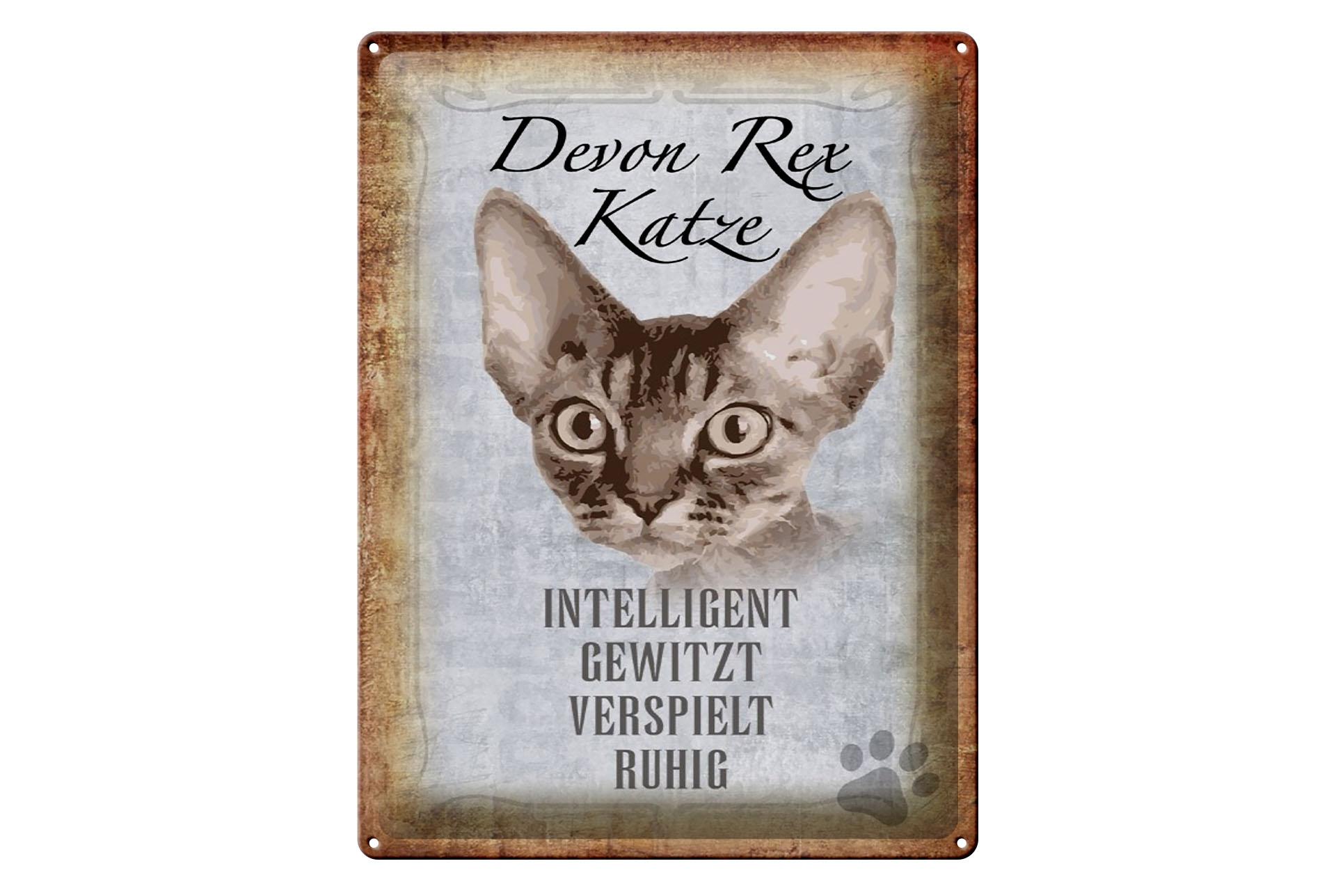 Blechschild Spruch 30x40 cm Devon Rex Katze intelligent Deko Schild